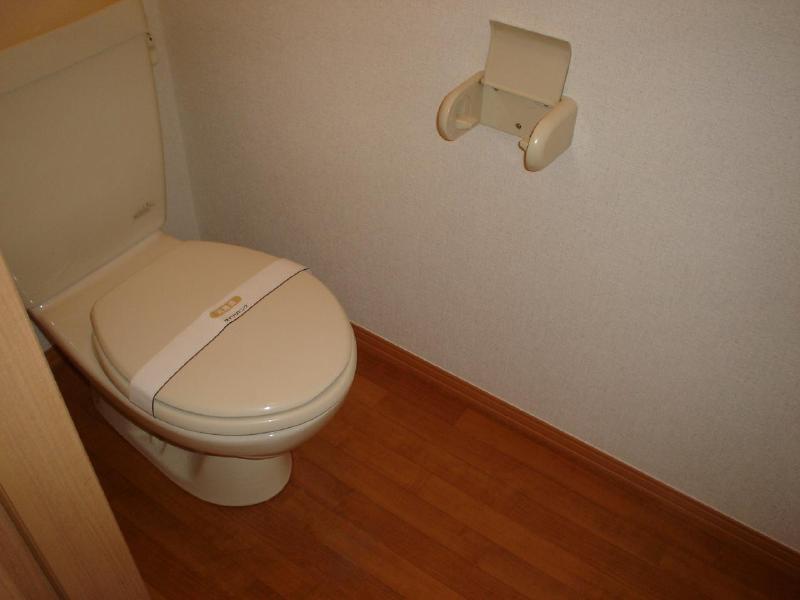 Toilet. Western-style toilet