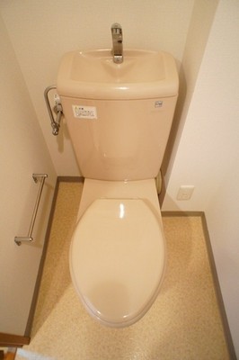 Toilet. The room is a picture