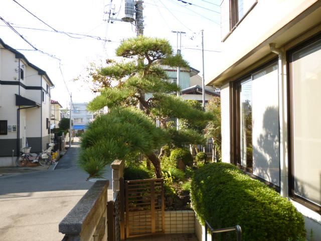Garden. Garden of the four seasons of the plant can enjoy.