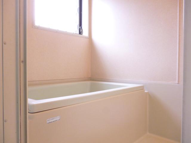 Bathroom. Pleasant bathroom light from the window
