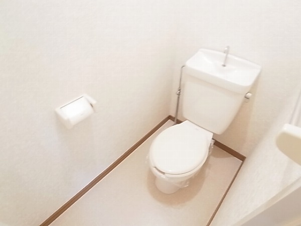 Toilet. Isomorphic photo