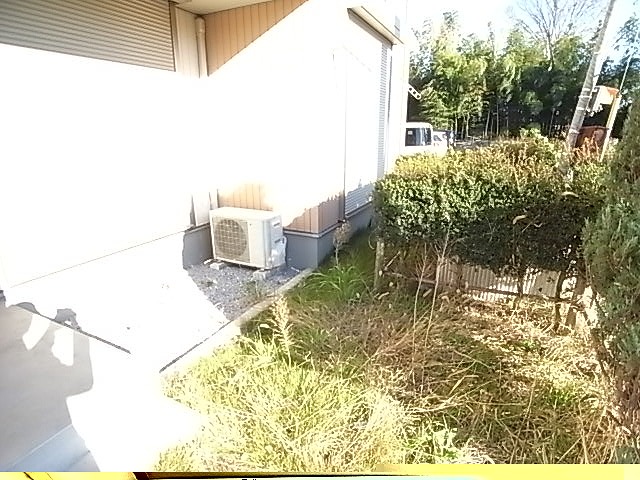 Balcony. Veranda