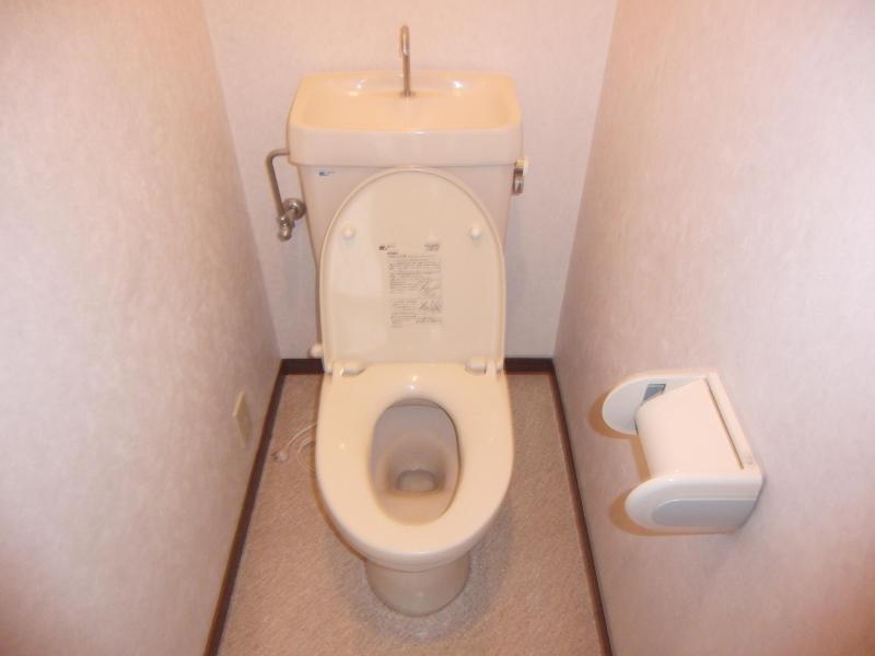 Toilet. Clean toilet