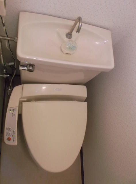 Toilet. Bidet