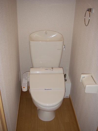 Toilet. Warm water washing toilet seat