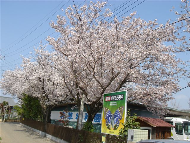 kindergarten ・ Nursery. Little Women kindergarten (kindergarten ・ 700m to the nursery)