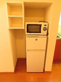 Other. Also it comes with a microwave and refrigerator!