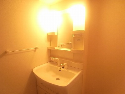 Washroom. Shampoo dresser.