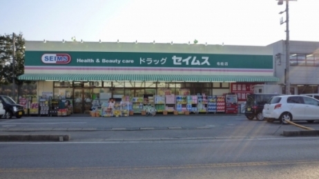 Dorakkusutoa. Drag Seimusu Fusa shop 1100m until (drugstore)