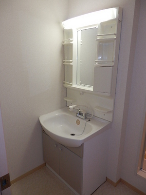 Washroom. Popular equipment Shower Dresser