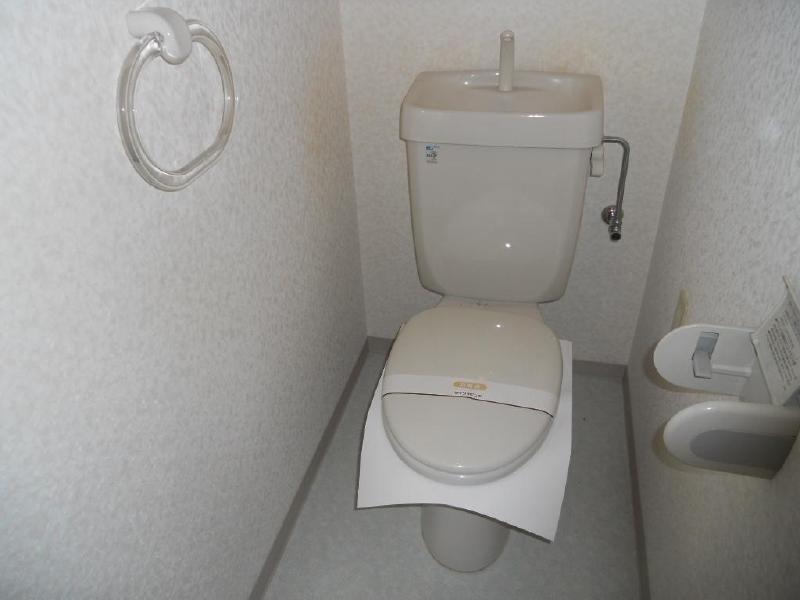 Toilet. Shiny toilet