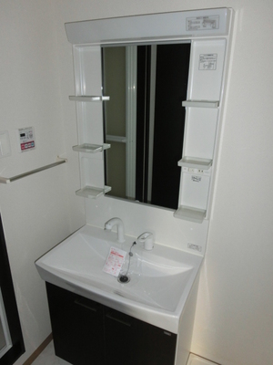 Washroom. Shampoo dresser