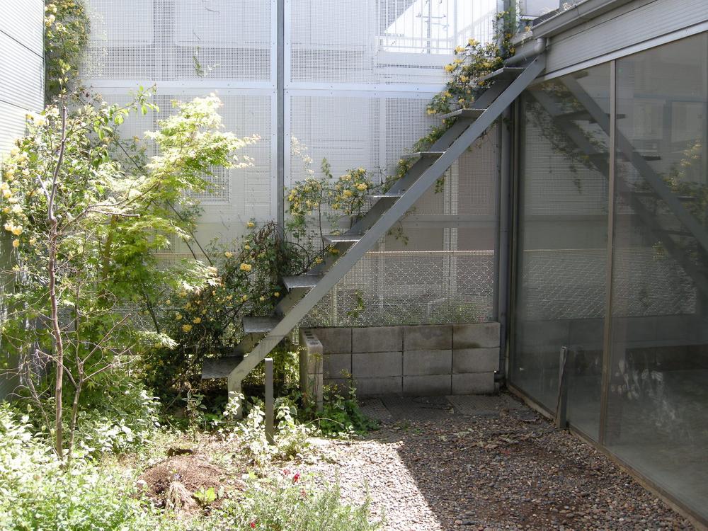 Garden. Green courtyard