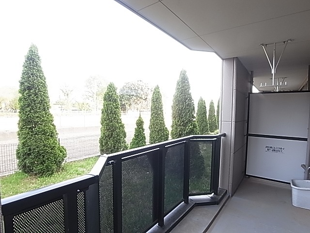 Balcony. Veranda