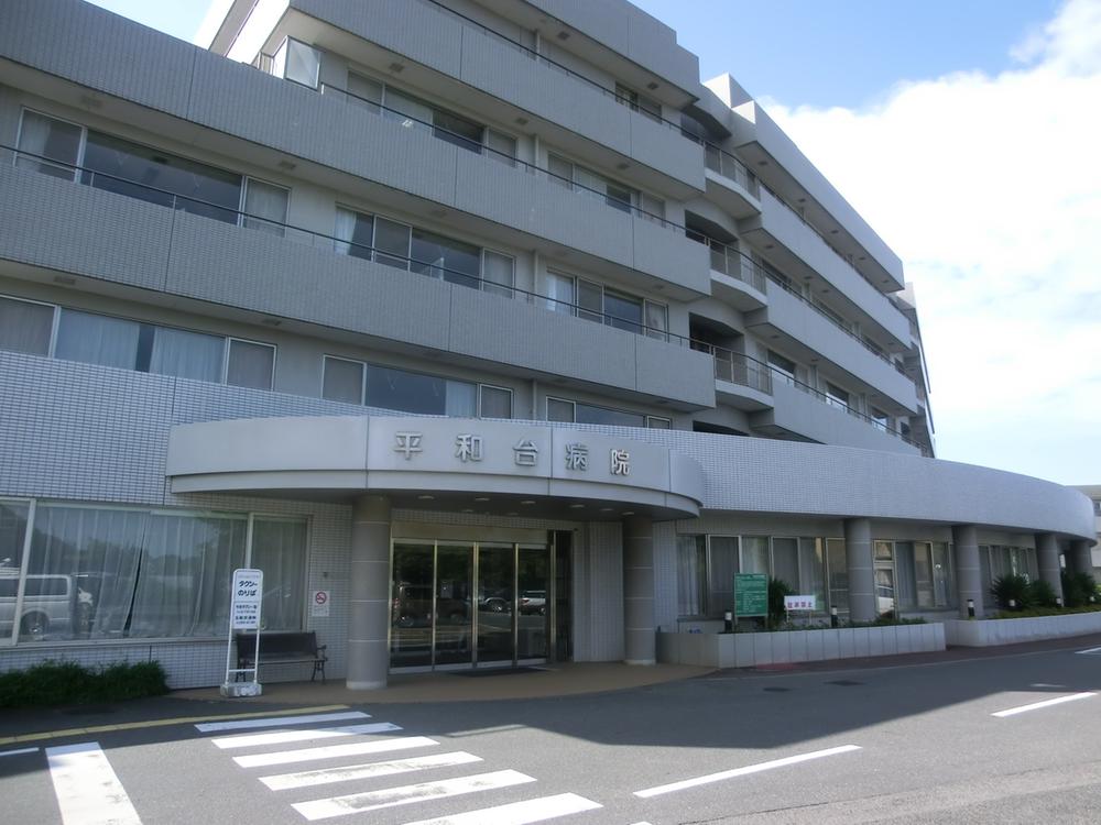 Hospital. 2004m until the medical corporation Association of creative meetings Heiwadai hospital