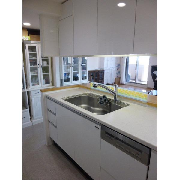 Kitchen. Water purifier integrated, Dishwasher and with disposer