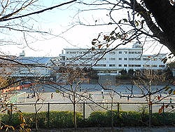 Primary school. Abiko Municipal Abiko first elementary school (elementary school) up to 400m