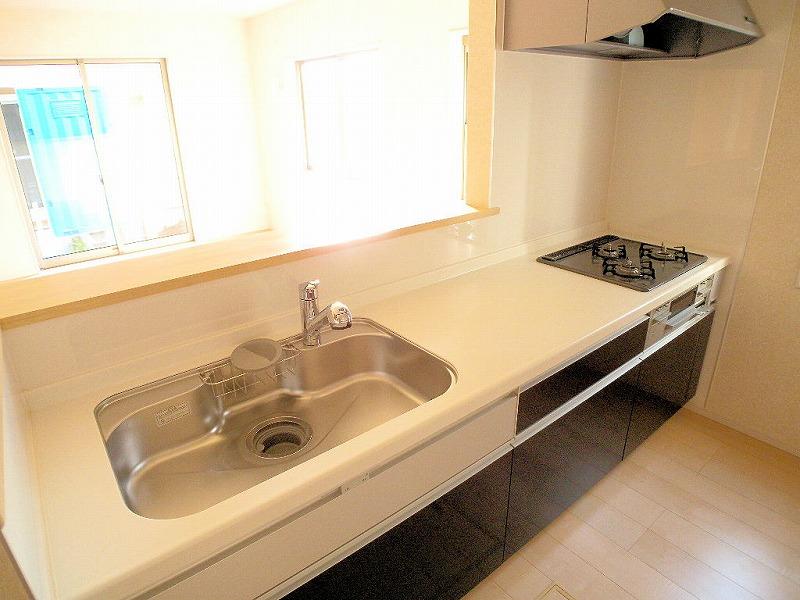 Kitchen. Indoor (12 May 2013) Shooting