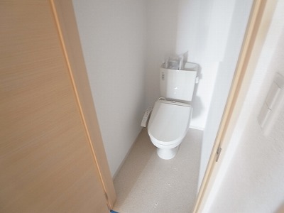 Toilet. Isomorphic Property Photos