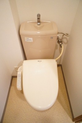 Toilet. The room is a picture