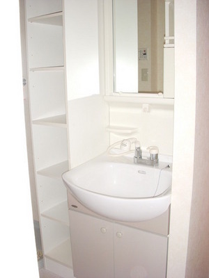 Washroom. Bathroom Vanity