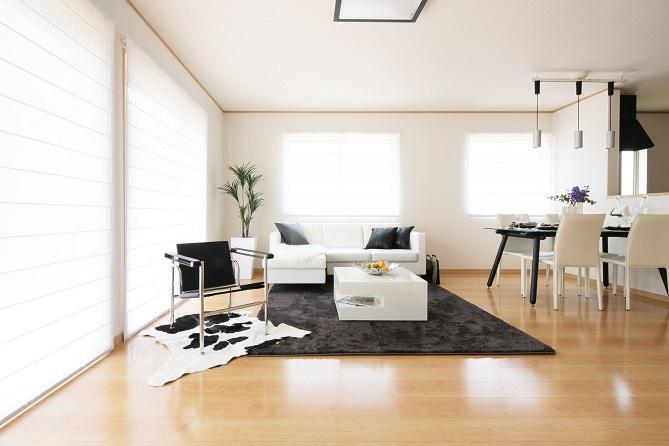 Same specifications photos (living). Our interior example Living photo