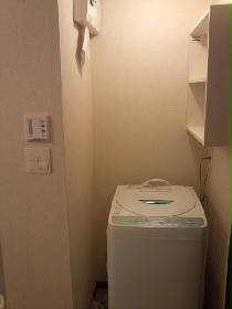 Other. It has been installed washing machine