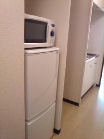 Other. A refrigerator and a microwave