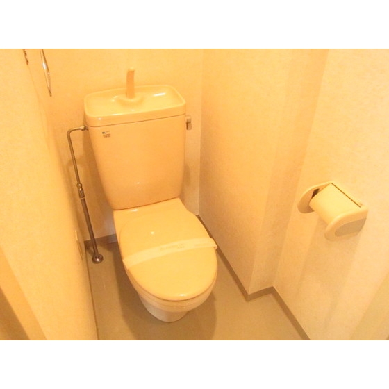 Other. Toilet Separate