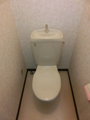 Toilet. I toilets are simple.