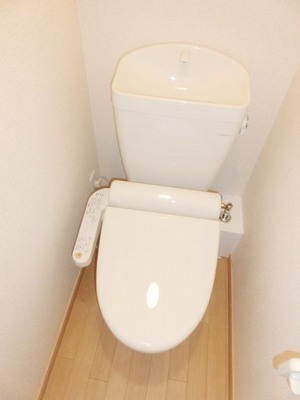 Toilet. Toilet with warm water washing toilet seat