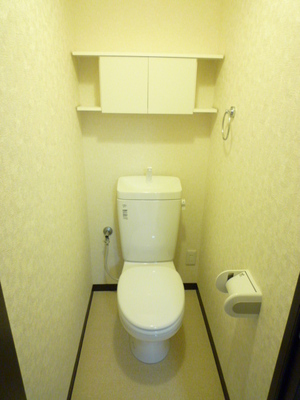 Toilet. Toilet with cleanliness