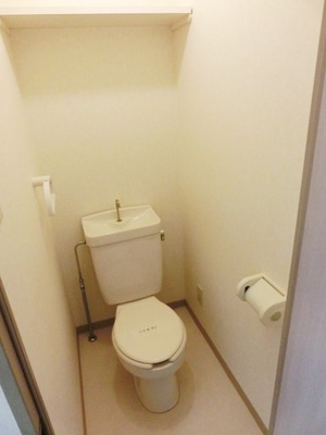 Toilet. Standard toilets