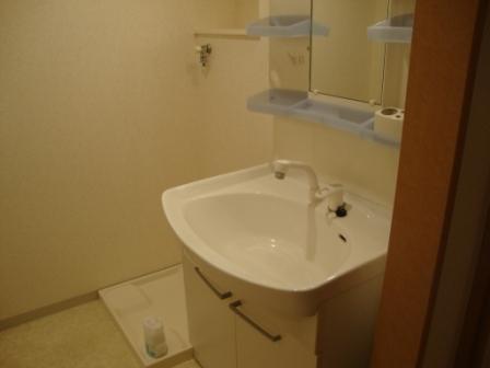 Washroom. With shampoo dresser