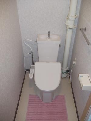 Toilet. Bidet