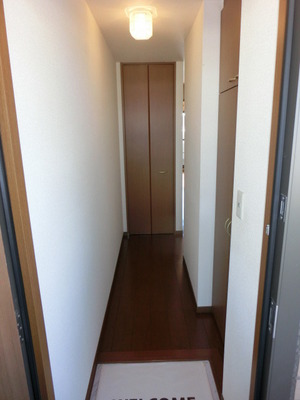 Entrance. Spacious entrance of shoes BOX equipped