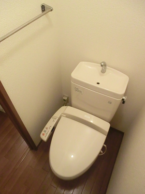 Toilet. Clean toilet