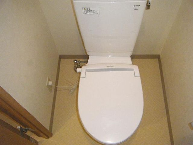 Toilet. Toilet