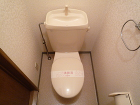 Toilet. It is settle space.