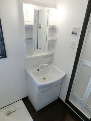 Washroom. Bathroom Vanity