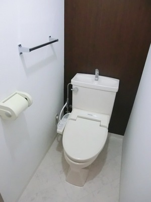 Toilet. Clean toilet