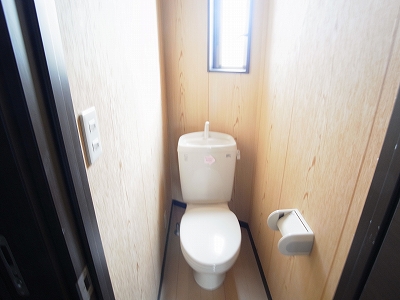 Toilet. It is ventilation pat with window