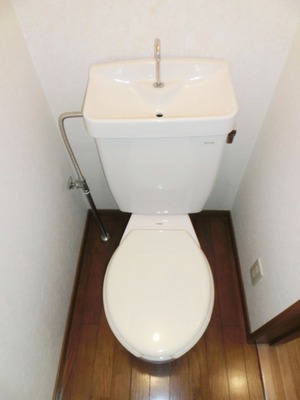 Toilet. It is a simple toilet