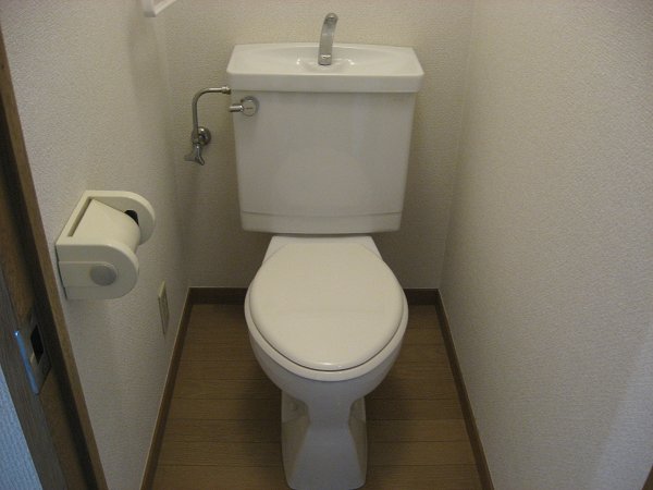 Other. It settles down toilet ☆