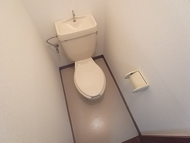 Other. It is a toilet with a clean