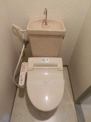 Toilet. WC of Washlet