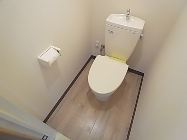 Other. It is a toilet with a clean