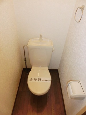 Toilet. Clean toilet