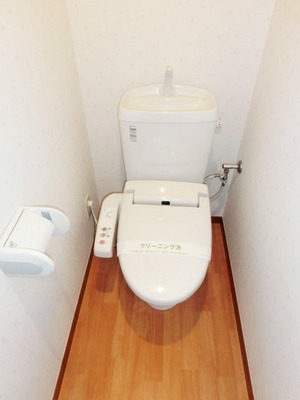 Toilet. It is a simple toilet.