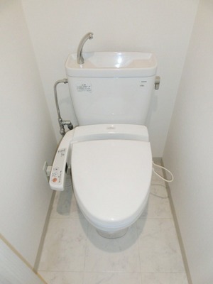 Toilet. Cleaning function toilet